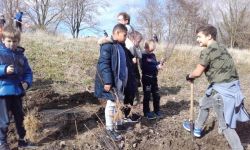 Plantations Cavalier   007